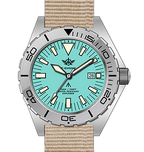 Field Watch (EP4127)